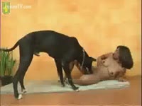 Zoophilia Video - Sexy black skinned woman enjoys sex with her large dark dog